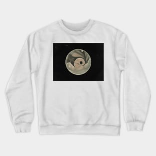 The Planet Mars by Etienne Leopold Trouvelot Crewneck Sweatshirt